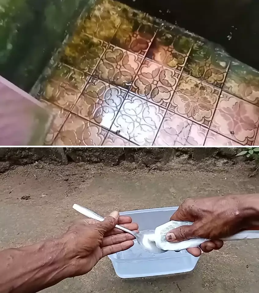 hilangkan lumut kamar mandi jadi antilicin © 2025 YouTube hilangkan lumut kamar mandi jadi antilicin © 2025 YouTube