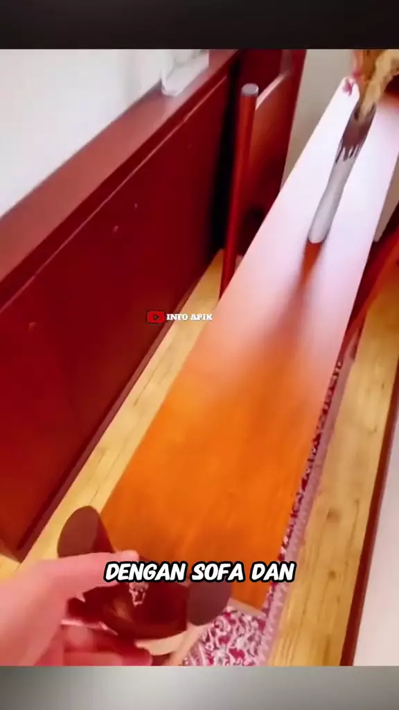 rumah tipis 1,2 meter  © 2025 TikTok