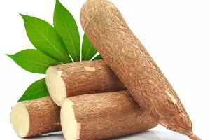 Cara memilih singkong yang bagus dan tidak pahit, jangan salah pilih, ini ciri-cirinya