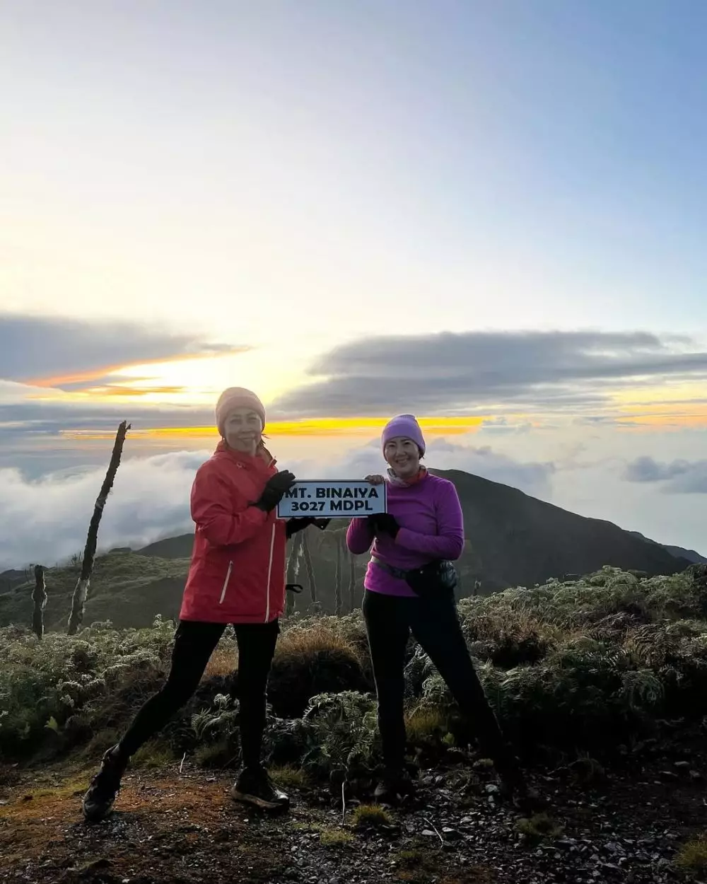 persahabatan lilie wijayanti dan elsa laksono © 2025 Instagram persahabatan lilie wijayanti dan elsa laksono © 2025 Instagram