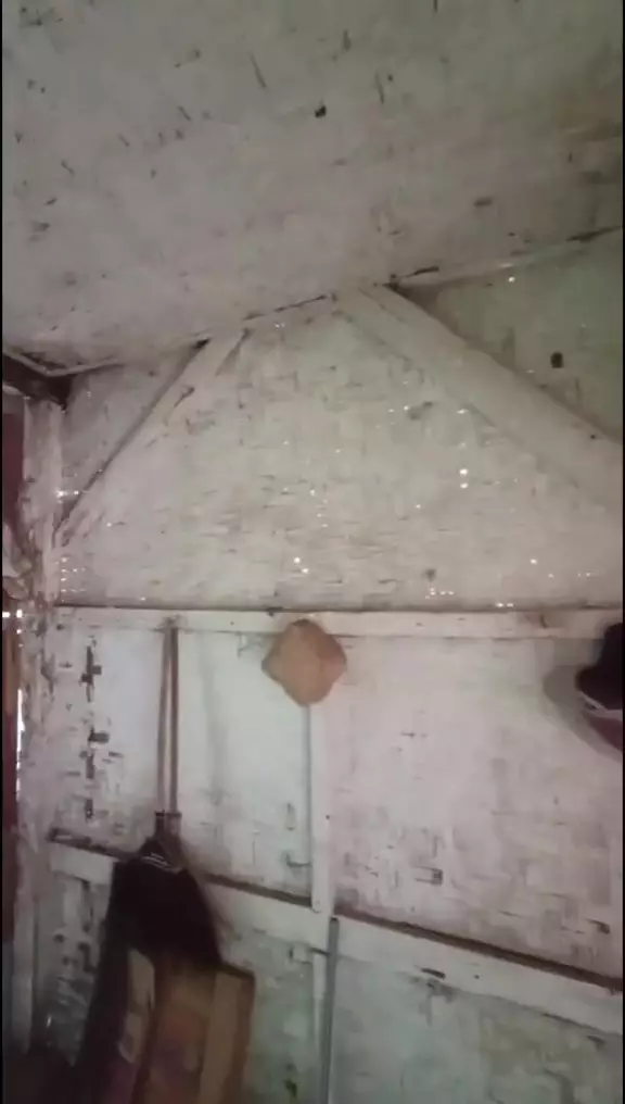 potret rumah kayu © 2024 TikTok