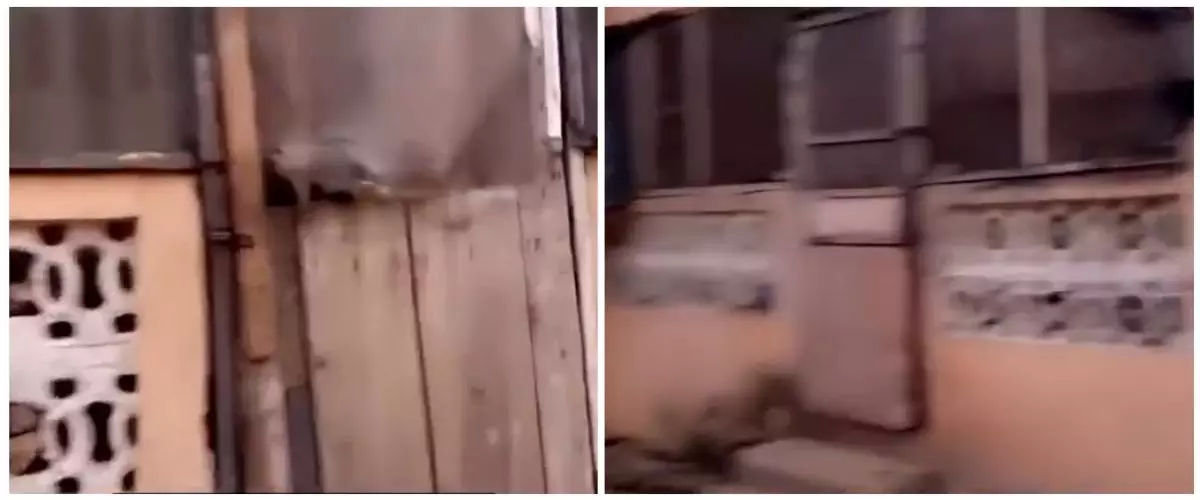 Luarnya rombeng tak layak huni, 7 potret bagian dalam rumah ini fasilitasnya mewah cocok buat gaming