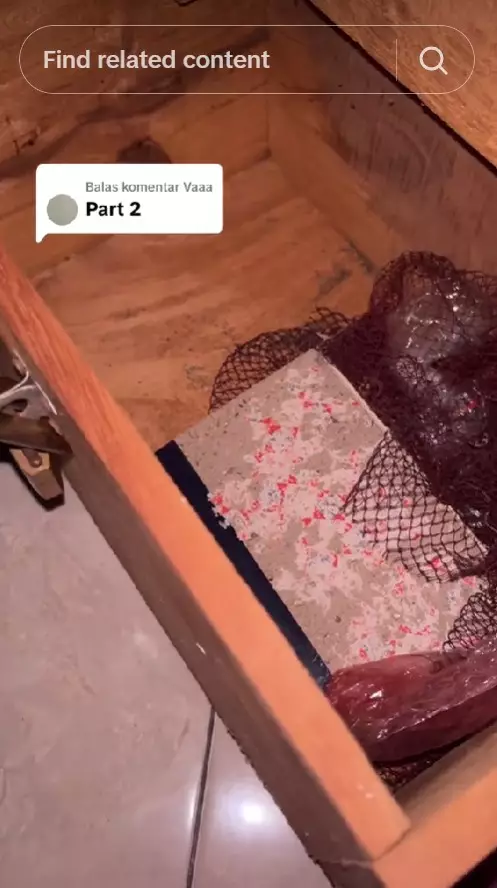 Wanita ini bongkar kotak warisan © TikTok Wanita ini bongkar kotak warisan © TikTok