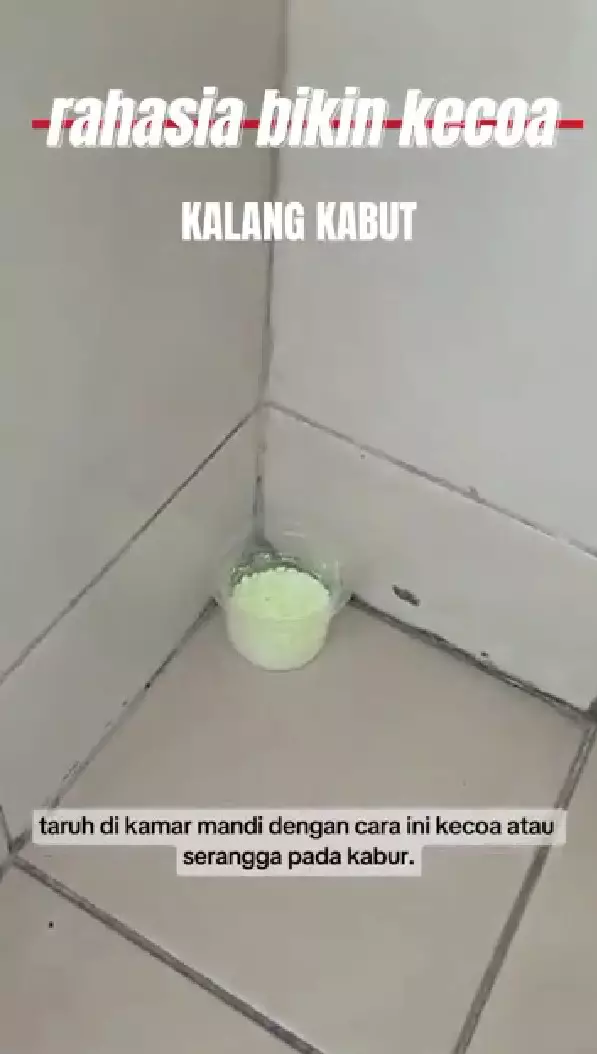 trik bikin kecoa kabur dari rumah © YouTube trik bikin kecoa kabur dari rumah © YouTube