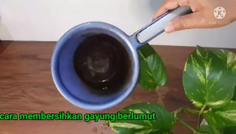 gayung pakai sitrun sabun cuci piring © 2024 brilio.net