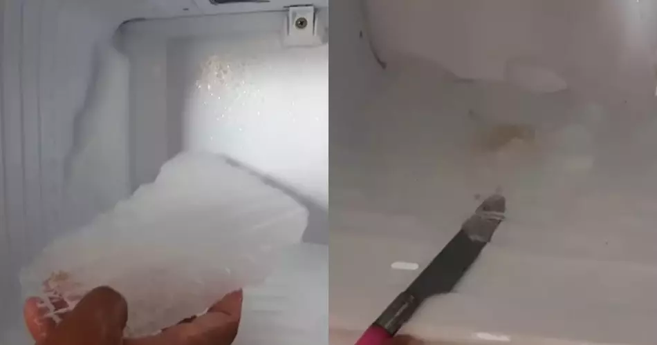 Bukan disiram air garam, ini cara mencairkan bunga es © YouTube