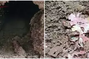 Pasutri ini kehilangan Rp70 juta hasil kerja keras bertahun-tahun akibat dimakan rayap, bikin nyesek