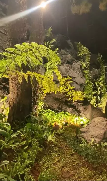 rainforest di rumah andara raffi © berbagai sumber