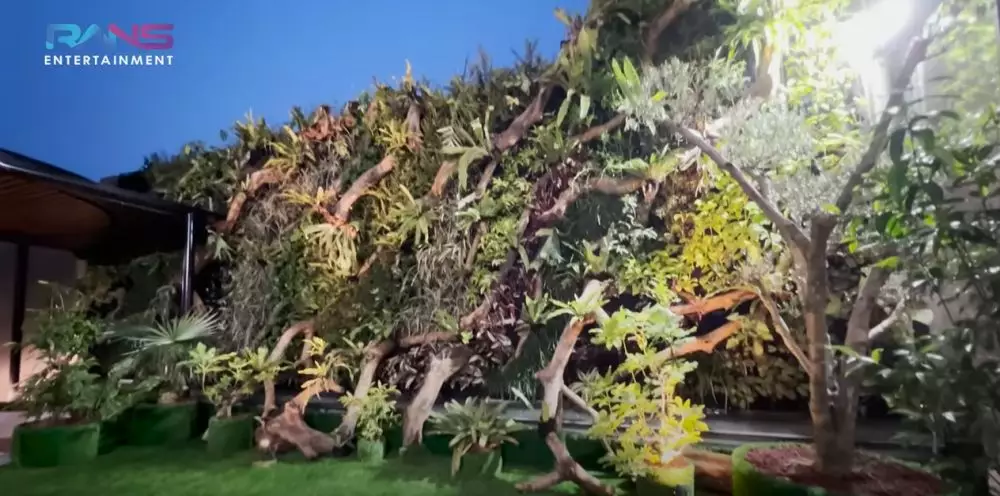 potret kolam renang Atta Halilintar ada pohon yang disebut di Alquran © 2024 brilio.net potret kolam renang Atta Halilintar ada pohon yang disebut di Alquran © 2024 brilio.net