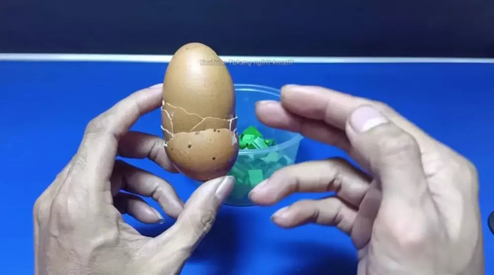 trik simpel usir cicak pakai sampah dapur © YouTube