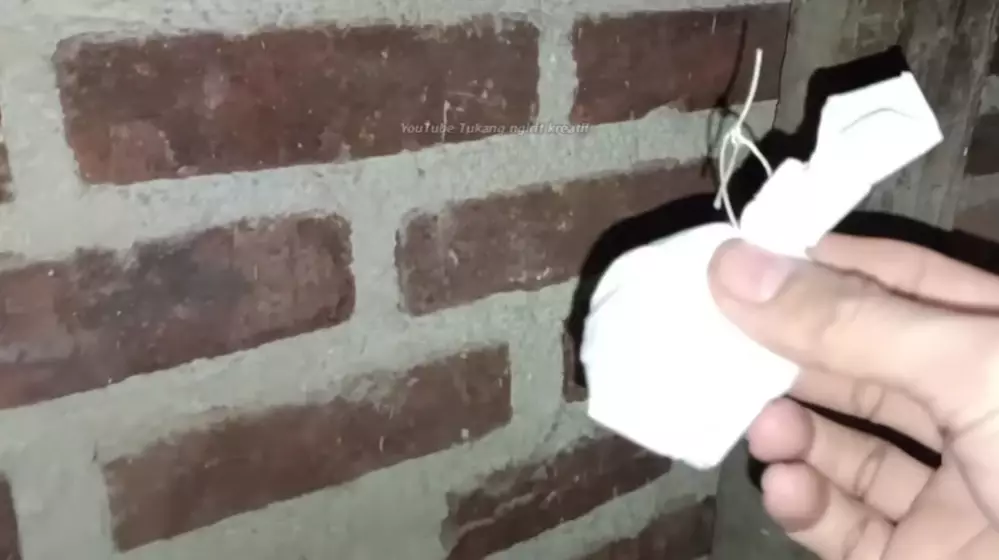 trik simpel usir cicak pakai sampah dapur © YouTube