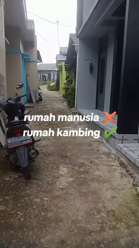 rumah dua lantai untuk kambing © 2024 TikTok