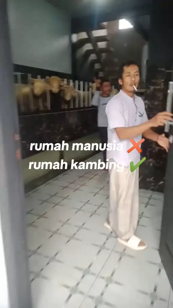 rumah dua lantai untuk kambing © 2024 TikTok