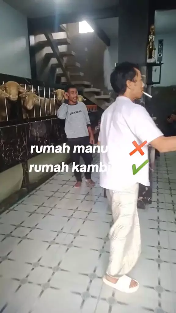 rumah dua lantai untuk kambing © 2024 TikTok