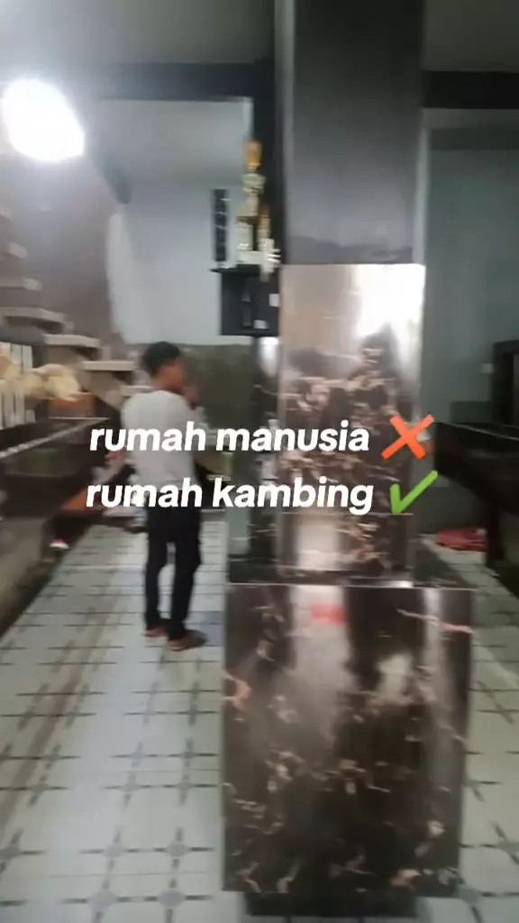 rumah dua lantai untuk kambing © 2024 TikTok