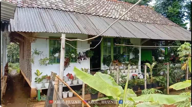 rumah warna full hijau © 2024 YouTube
