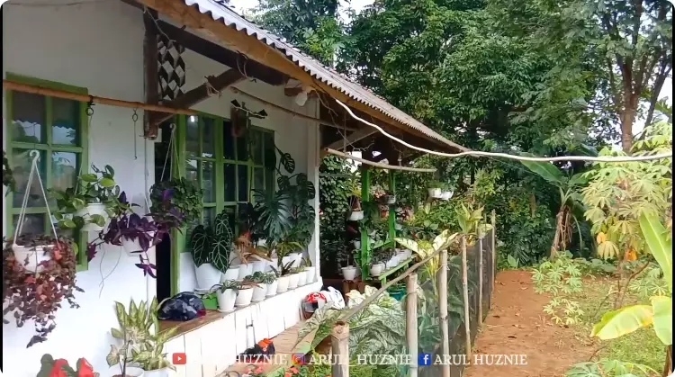 rumah warna full hijau © 2024 YouTube