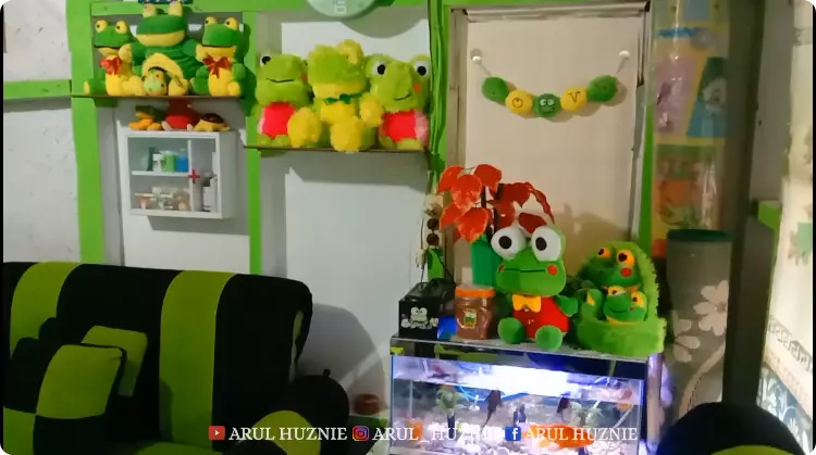 rumah warna full hijau © 2024 YouTube