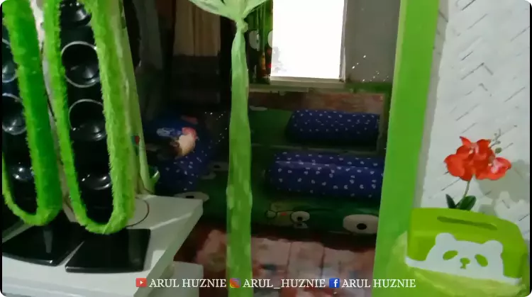 rumah warna full hijau © 2024 YouTube