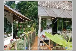 Tampak seperti hunian sederhana di desa, 9 potret bagian dalam rumah ini desainnya unik serba hijau