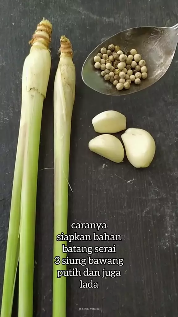 cara bikin cairan pengusir tikus tiktok © 2023 brilio.net