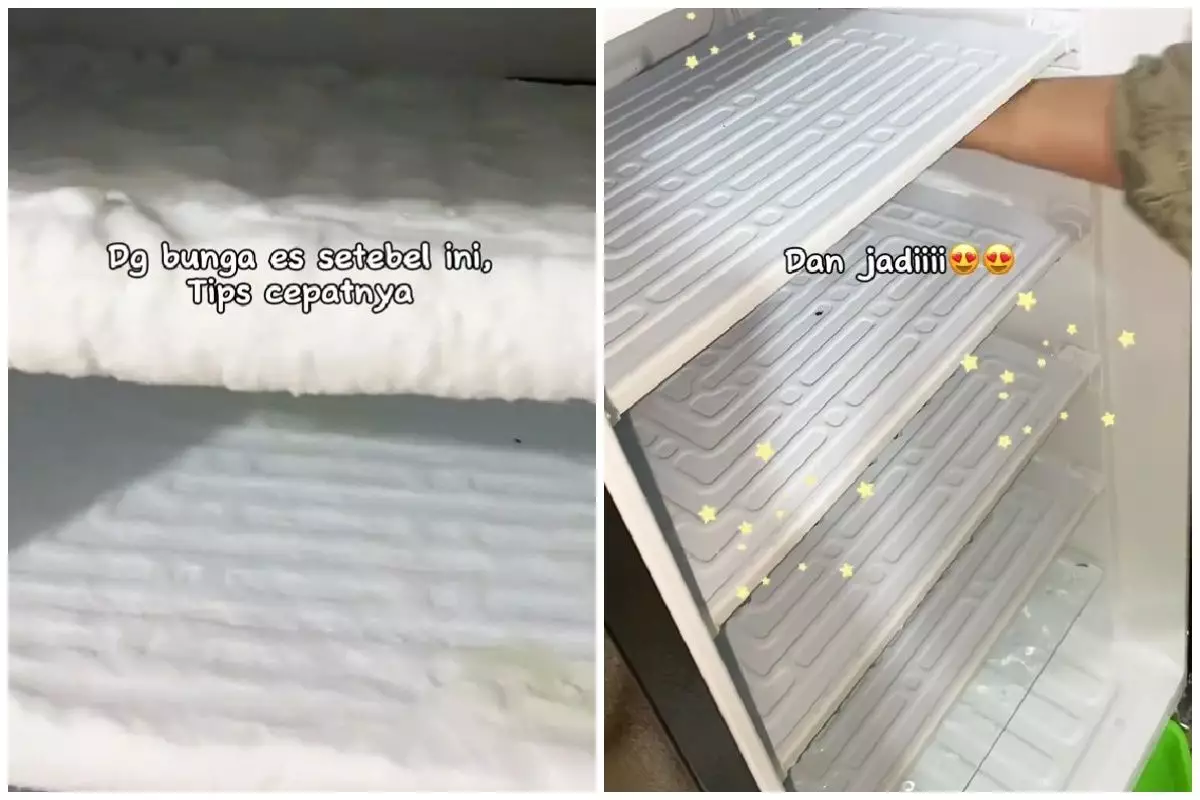 Trik mencairkan bunga es di freezer cuma 20 menit, auto bersih tanpa repot dicongkel