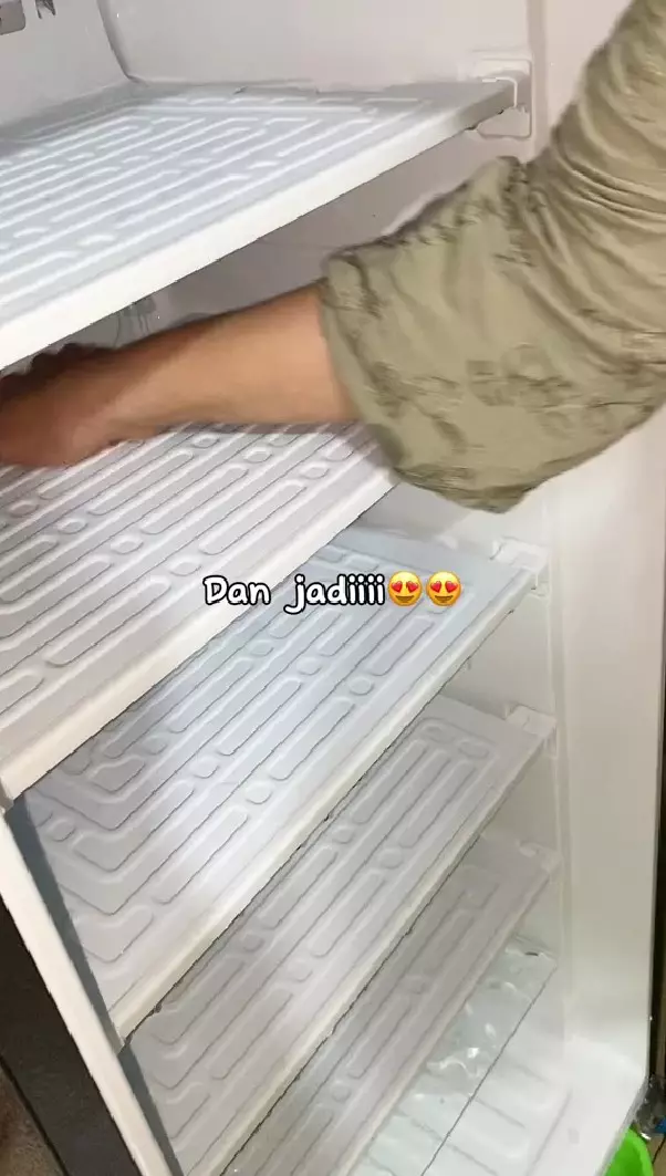 mencairkan bunga es di freezer 20 menit © TikTok