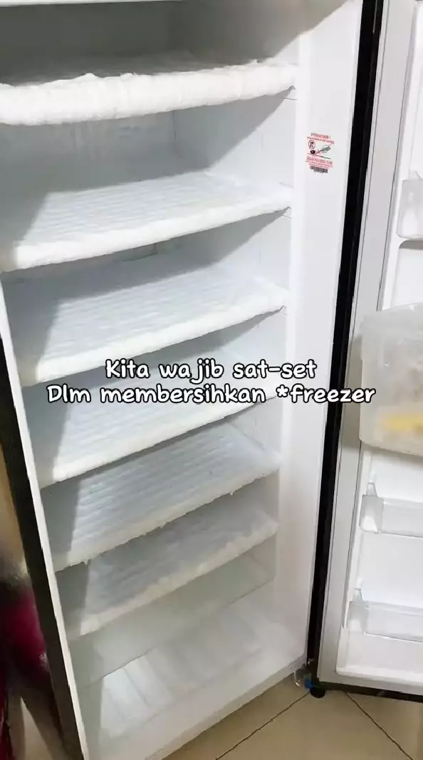 mencairkan bunga es di freezer 20 menit © TikTok