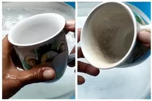 Trik mudah membersihkan kerak teh di gelas agar kinclong lagi, jangan asal pakai sabun cuci piring