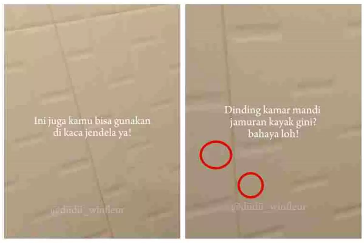 Trik hilangkan jamur di dinding kamar mandi tanpa digosok sitrun, pakai tambahan 2 bahan dapur