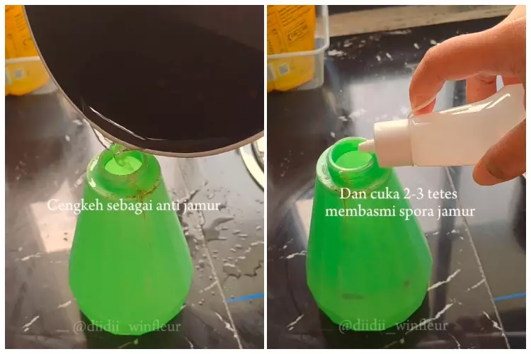 bersihkan dinding kamar mandi berjamur 2 bahan dapur © 2024 brilio.net