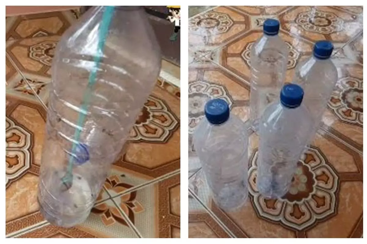 Trik simpel bikin perangkap lalat di meja makan hanya dengan 1 sampah dapur