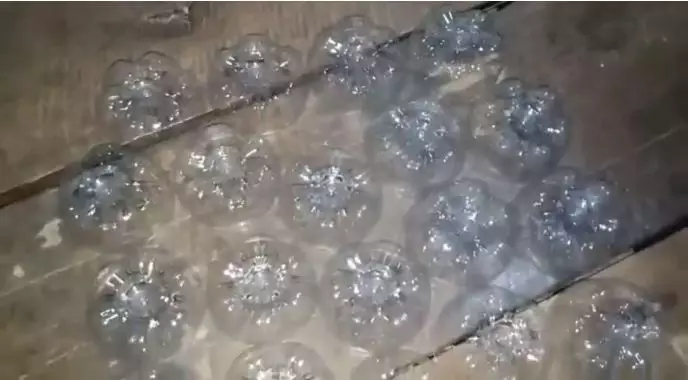 Trik bikin keranjang buah cantik dari botol bekas © 2025 brilio.net Trik bikin keranjang buah cantik dari botol bekas © 2025 brilio.net