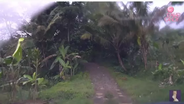 hunian Dinar Candy di kampung mepet sawah © YouTube