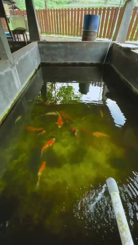 Rumah Dodit Mulyanto usai renovasi © 2024 TikTok Rumah Dodit Mulyanto usai renovasi © 2024 TikTok