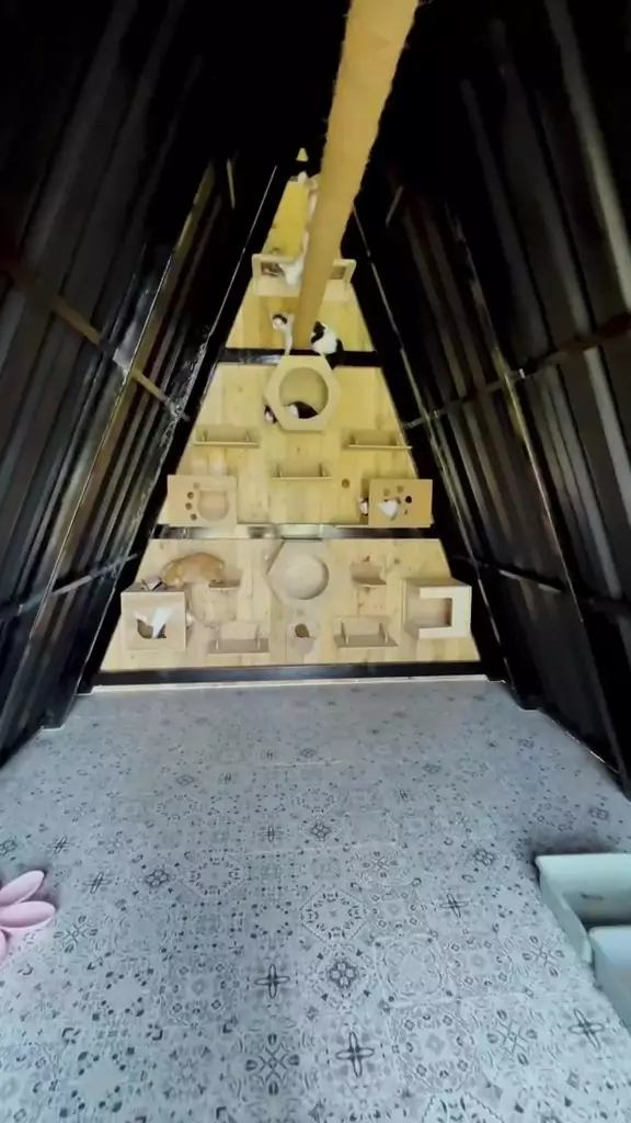 Rumah Dodit Mulyanto usai renovasi © 2024 TikTok Rumah Dodit Mulyanto usai renovasi © 2024 TikTok