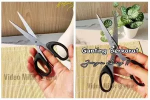 Trik menghilangkan karat gunting dalam 5 menit tanpa diampelas, cuma dengan 2 bahan dapur
