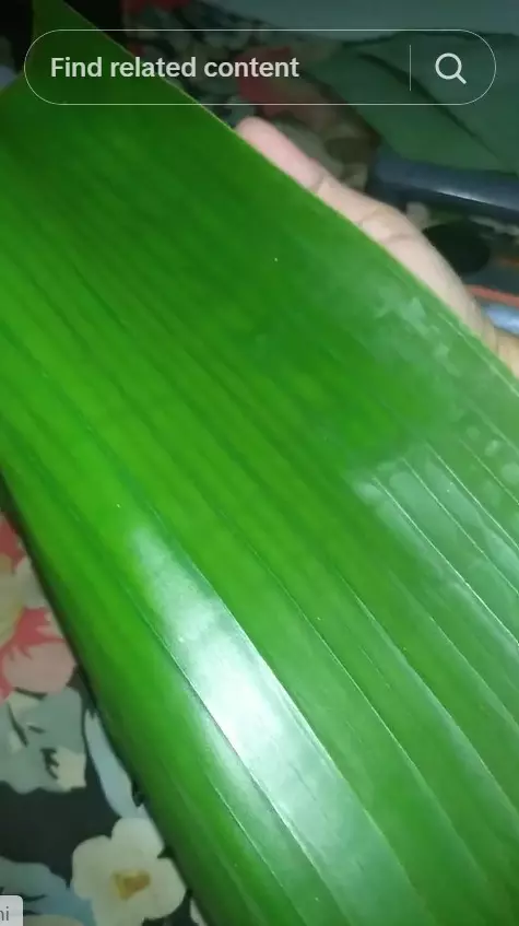 trik cepat melenturkan daun pisang pakai setrika © TikTok