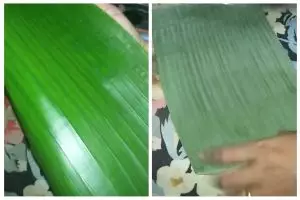 Trik simpel melenturkan daun pisang agar tidak mudah sobek tanpa dibakar atau dikukus