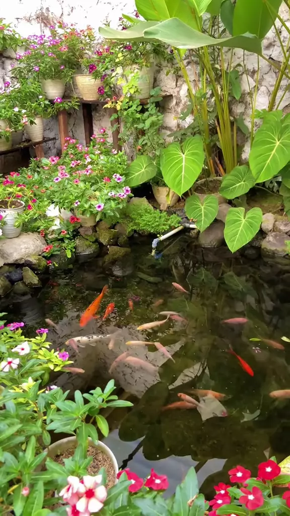 rumah tampak jadul dalamnya kebun bunga  © 2025 TikTok