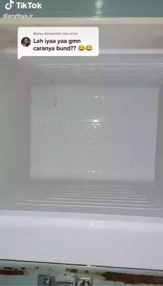 Trik agar bunga es di kulkas pakai plastik © TikTok