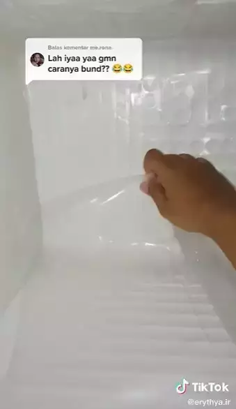 Trik agar bunga es di kulkas pakai plastik © TikTok