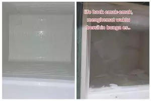 Trik bersihkan bunga es di freezer tak sampai 5 menit tanpa dicairkan dulu, pakai 1 alat sederhana