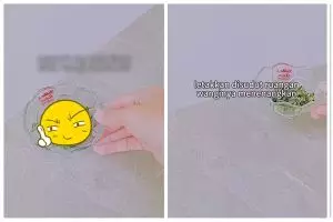 Trik mudah bikin pengharum ruangan pakai 2 bahan dapur, wanginya ampuh usir nyamuk dan lalat