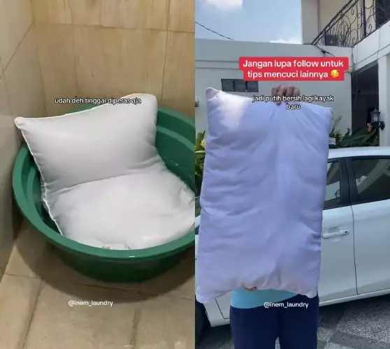 Trik agar bantal berjamur jadi bersih © TikTok Trik agar bantal berjamur jadi bersih © TikTok