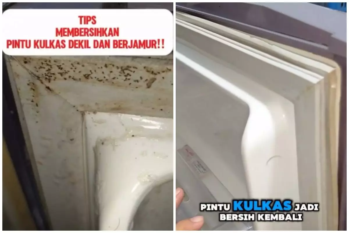 Trik simpel bersihkan pintu kulkas kotor berjamur, cuma pakai tambahan 1 alat mandi jadi kinclong lagi