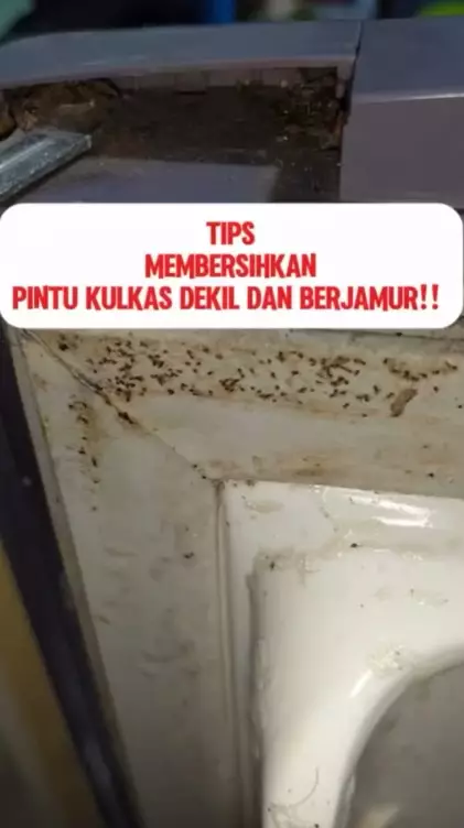 bersihkan pintu kulkas kotor berjamur jadi kinclong © Facebook bersihkan pintu kulkas kotor berjamur jadi kinclong © Facebook