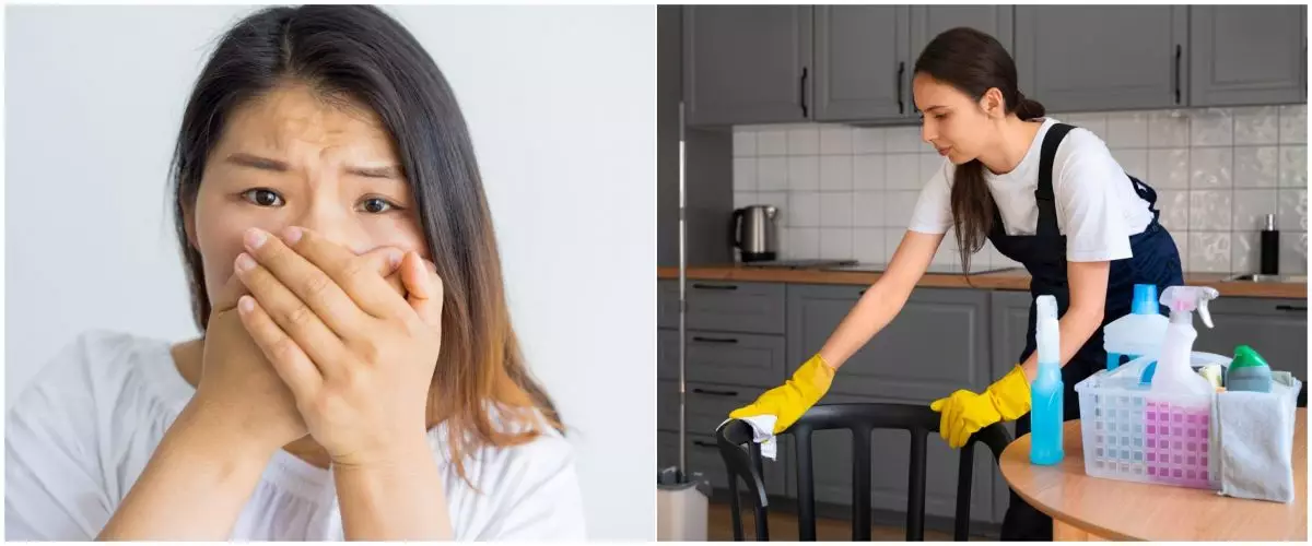 Siapa sangka, debu di rumah ternyata berasal dari tubuhmu sendiri