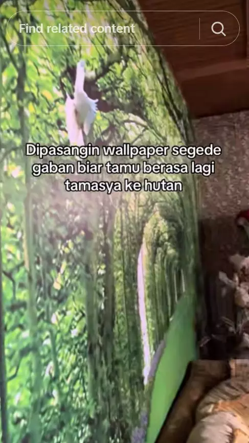 interior ruang tamunya dengan konsep nabrak © TikTok