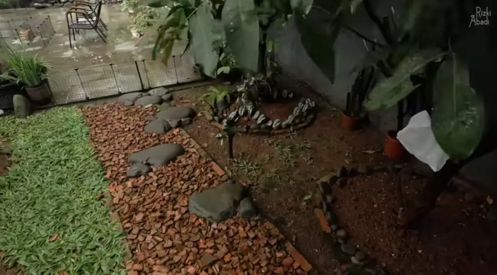 Rumah tropis serasa tinggal di surga dunia © YouTube